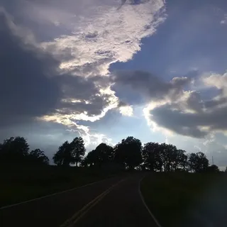 M H.