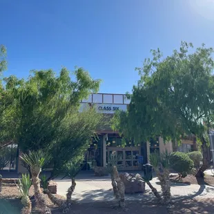 the entrance to the desert museum