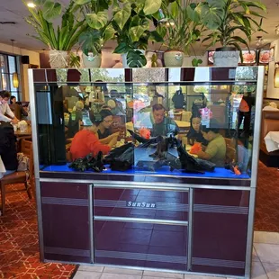 The obligatory fish tank