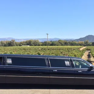 Napa Valley Wine Tour