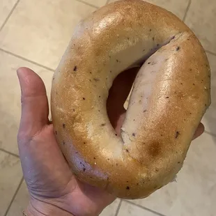 Classic NY Bagel