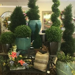 Indoor/ Outdoor trees