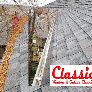 Gutter Cleaning