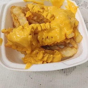 Cheese fries