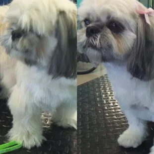 Camila before and after, with pink bows!