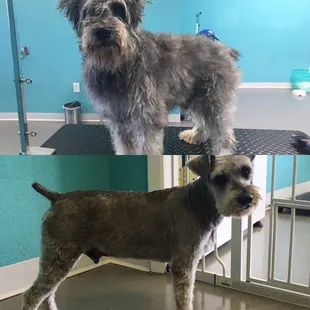 Prince Eric's stunning transformation!