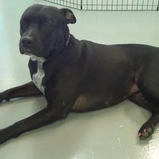 Dazee has pink nails!