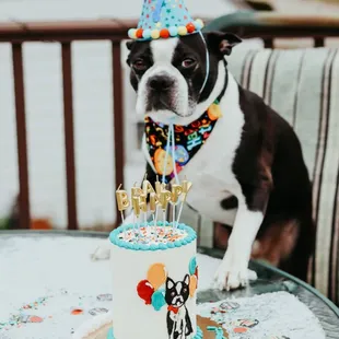 Classy Girl Cupcakes