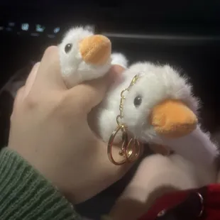 The cutest ducks maybe I shouldn't have held them like this lol