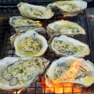 food, oysters and mussels, mussels, shellfish, oysters