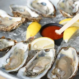 shellfish, oysters, mussels, food, oysters and mussels