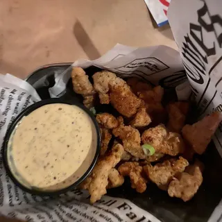 Alligator Bites