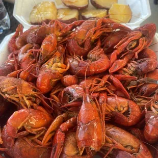 The BEST crawfish