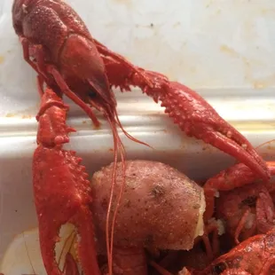 Mmmm
