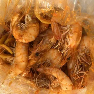 Shambalang Shrimp