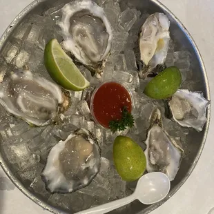 Oysters