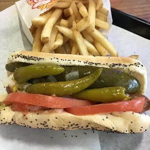 Chicago Hot Dog and Fry