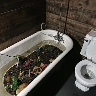 Bathtub fish tank lol