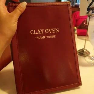 a hand holding a menu