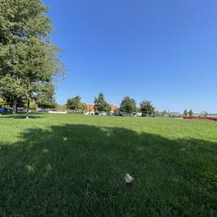 Green space at Clay Terrace