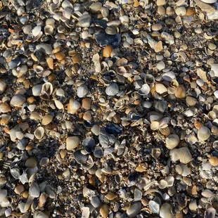 Take home Amelia Island memories with local photos and gift cards