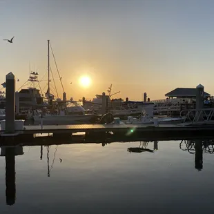 Just 2 short blocks away, enjoy the beautiful Fernandina Harbor. CTAC is right next to downtown shopping, dining, and entertainment options