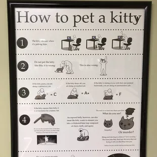 "How to Pet a Kitty"