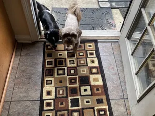 Winchester Animal Clinic