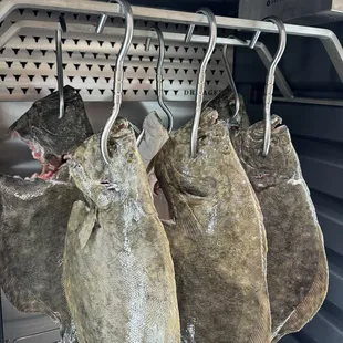 Dry aged fish? We do that!