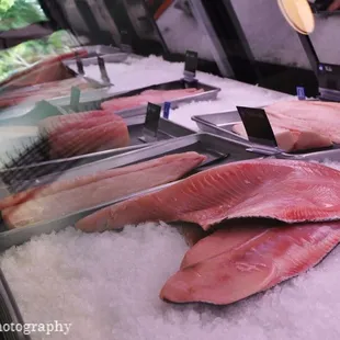 sushi and sashimi, sushi, sashimi, food