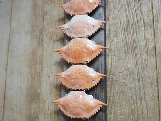 Brothers Seafood House