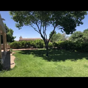 My backyard they did 15 years ago, original system