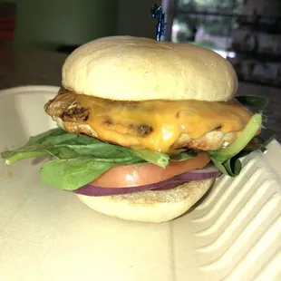 Turkey burger with cheddar cheese