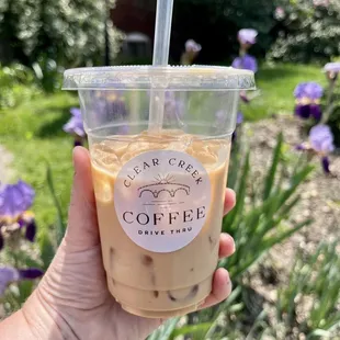 a hand holding a cup of iced coffee