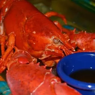 Lobster*