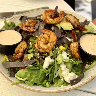 Grilled shrimp salad
