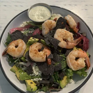 Shrimp