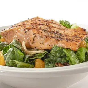 Grilled Salmon Salad