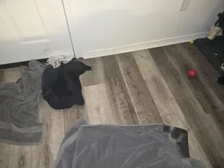 Alameda Pointe Apartments