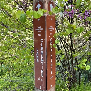 Trail sign