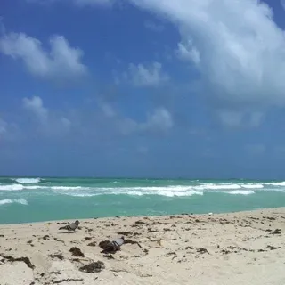 T B.