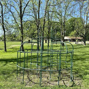 Jungle Gym