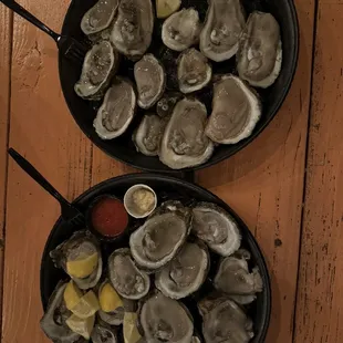 Fresh oysters