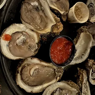Delicious fresh oysters