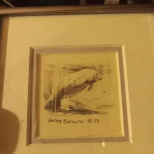 Manatee by Barry Barnett