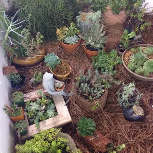 Master gardeners display