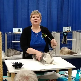 This exotic shorthair was my husband's favorite!