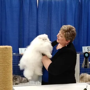 Absolutely majestic creature!