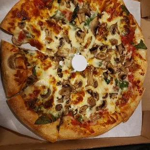 Medium with mushrooms!
