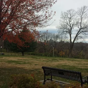 View of downtown, prior to entering Cliff Drive